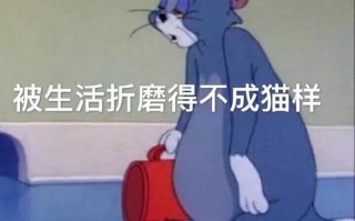 杀人沙雕文案，沙雕动画