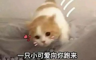 种花的沙雕文案，种花的沙雕文案短句