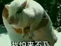 叫声素材恶搞视频，叫声素材恶搞视频大全