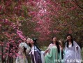 女生汉服大唐风穿搭，女生汉服